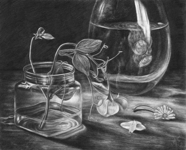 Натюрморт Графика известных художников