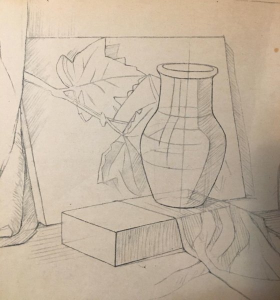 Этапы рисования натюрморта карандашом