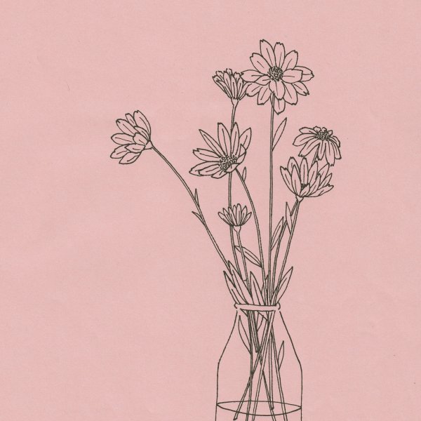 Эстетичные легкие растения