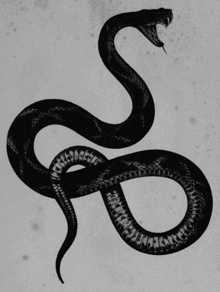 Змеи арт