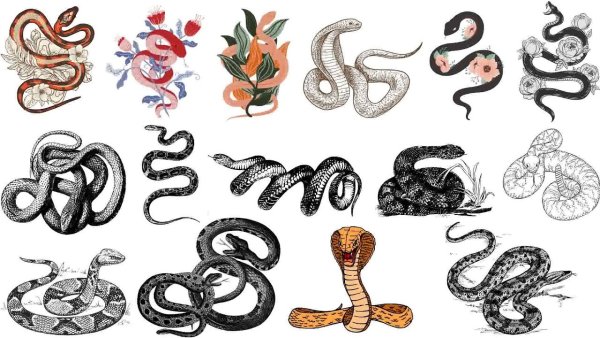 Змея эскиз
