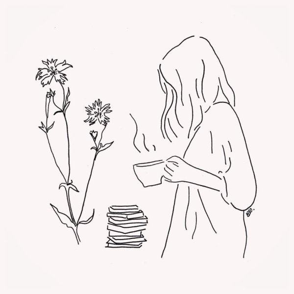 Арты растений в горшках