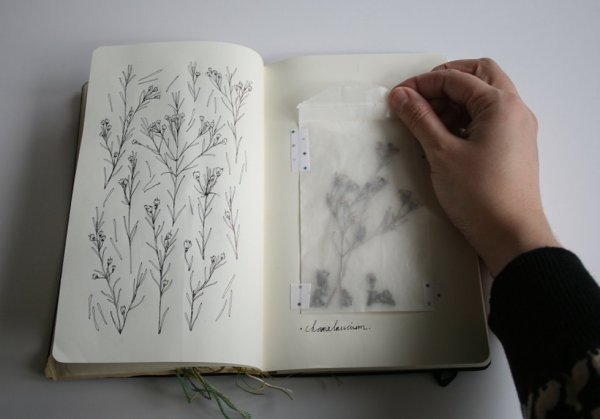 Скетчи карандашом