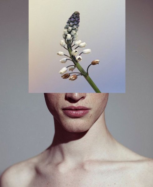 Кола Эстетика