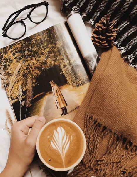 Рисунки в коричневых тонах