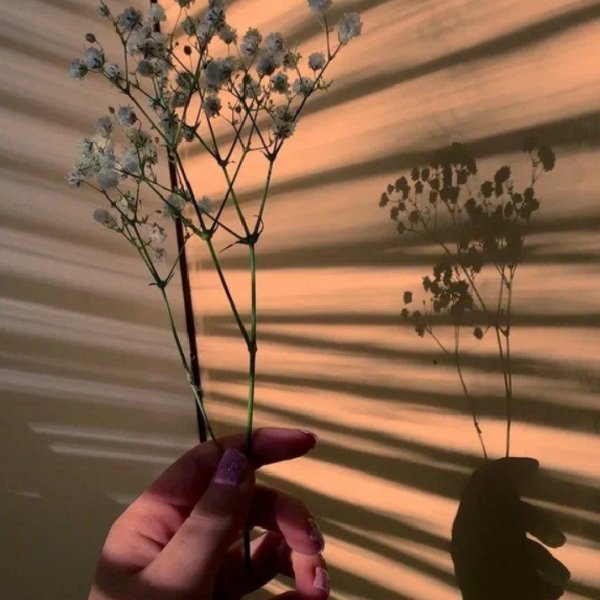 Эстетика коричневого цвета