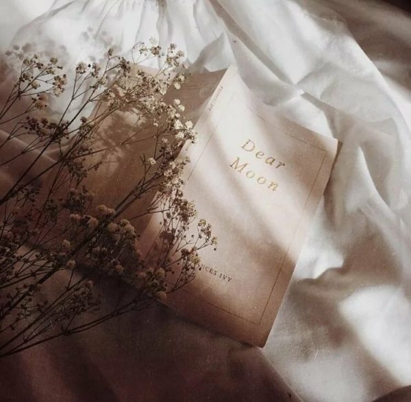 Эстетика бежевого