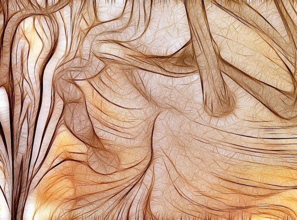 Бежевое дерево текстура