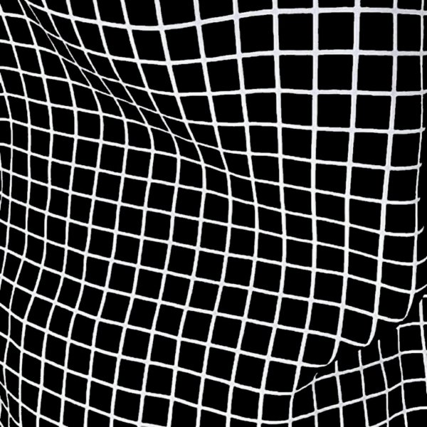 Черно белая сетка