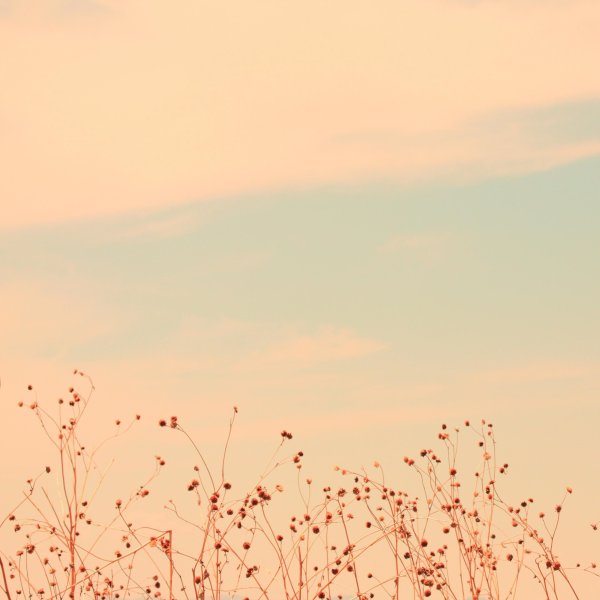 Фон для эстетики