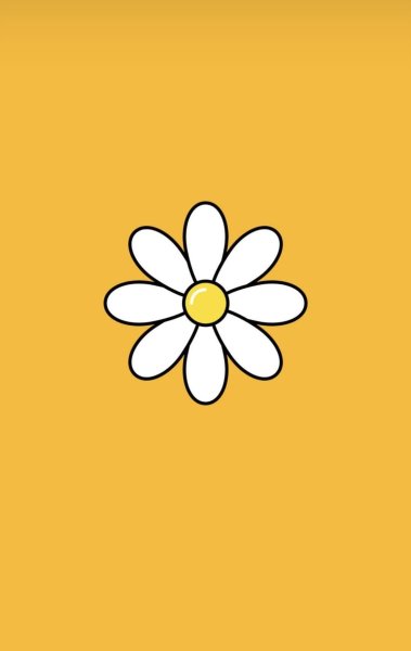 Ромашки на желтом фоне