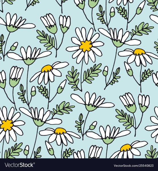 Ромашки паттерн