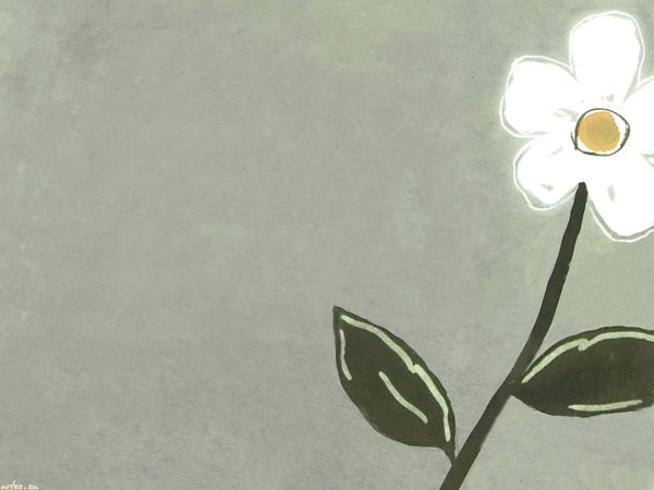 Ромашка Минимализм