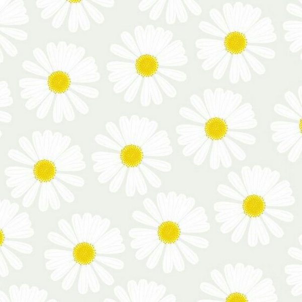 Милый фон с ромашками