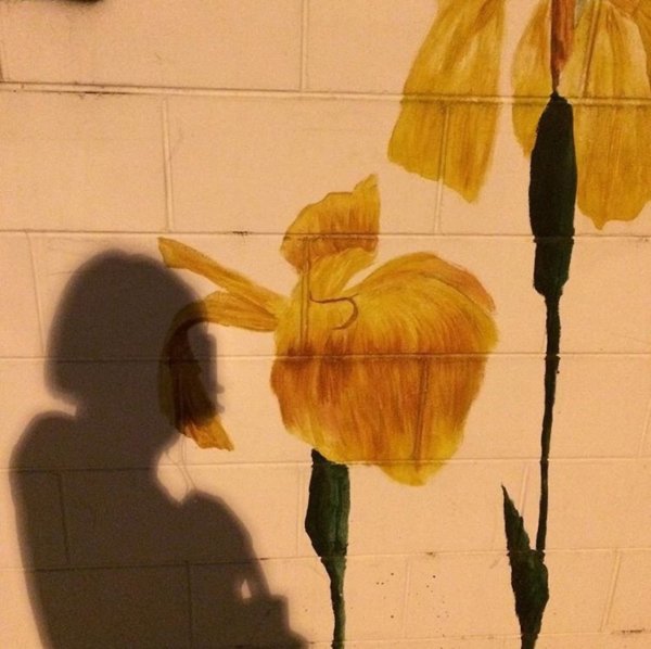 Эстетика жёлтого и коричневого