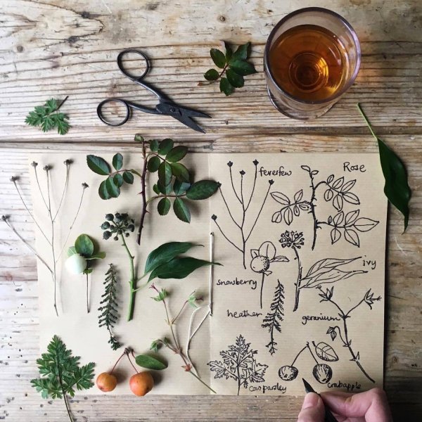 Идеи для рисунков в блокноте