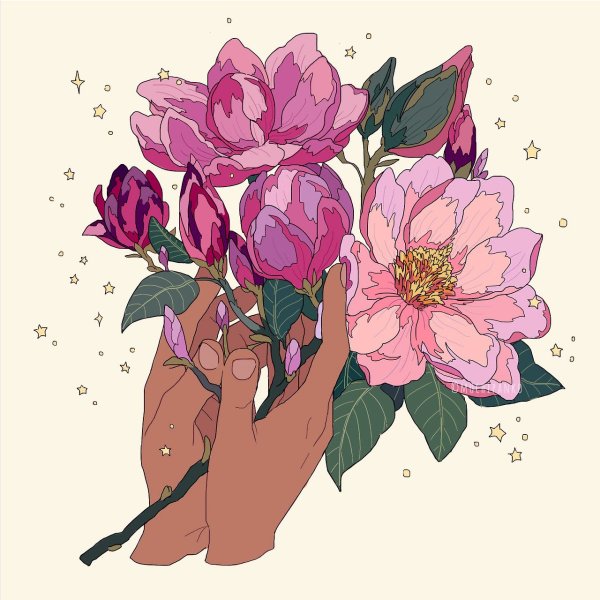 Ханахаки гортензия