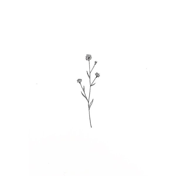 Рисование Эстетика