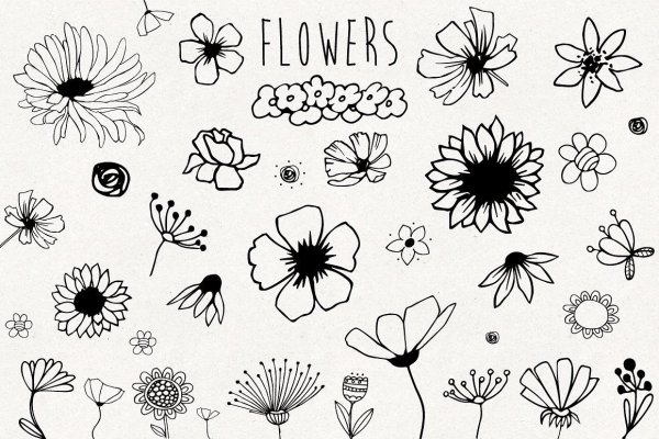 Акварельные цветы Стикеры