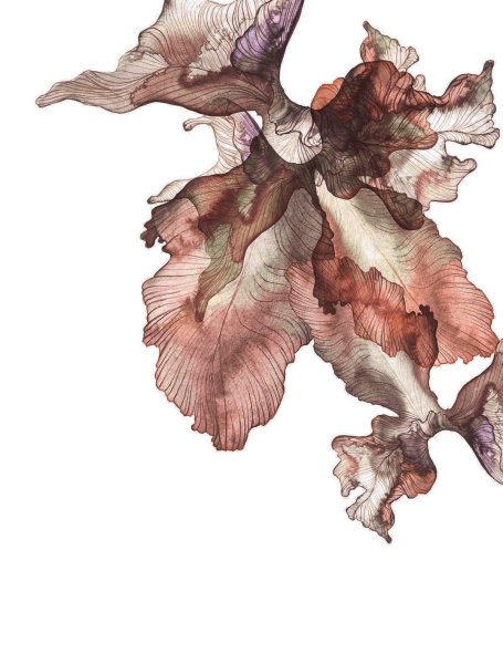 Эстетика светло коричневого