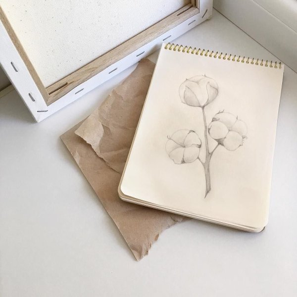 Эстетика коричневого