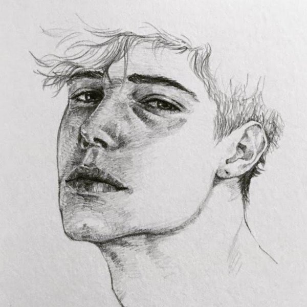 Скетч портрет Эван Питерс