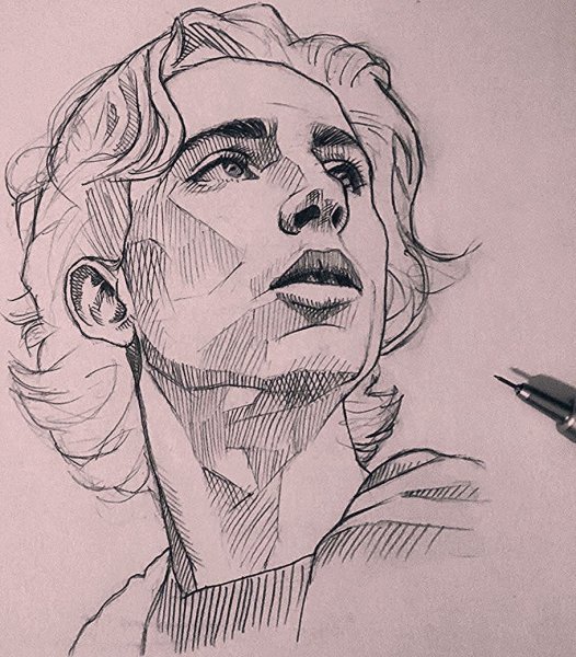 Тимоти Шаламе скетч