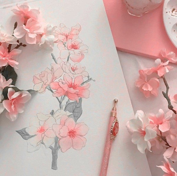 Бежево розовая Эстетика