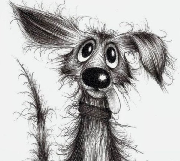 Смешная собака рисунок