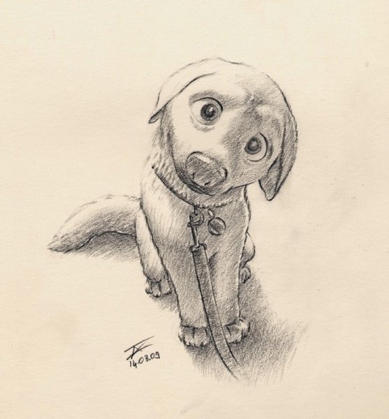 Милые собачки карандашом