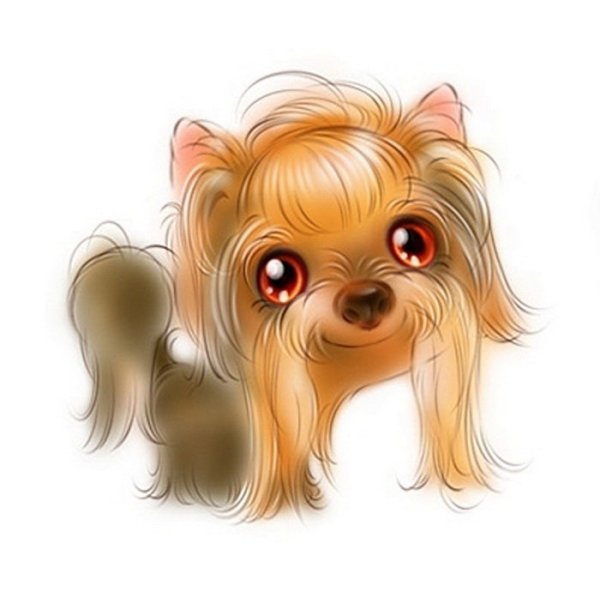 Иллюстрации Людмилы Мельникович