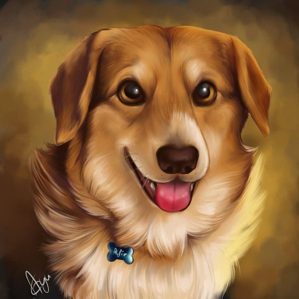 Нарисовать собаку