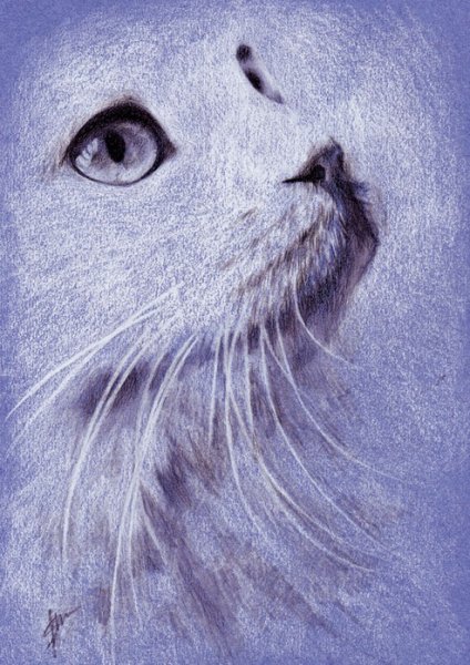 Красивые рисунки пастелью для начинающих