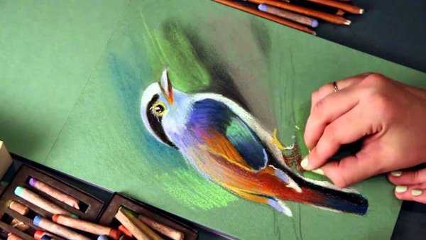 Уроки рисования сухой пастелью