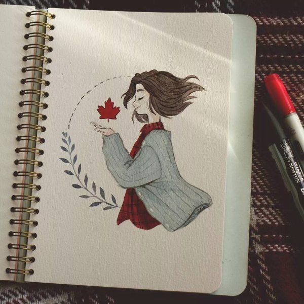 Рисунки Елены ШЕЙДЛИНОЙ