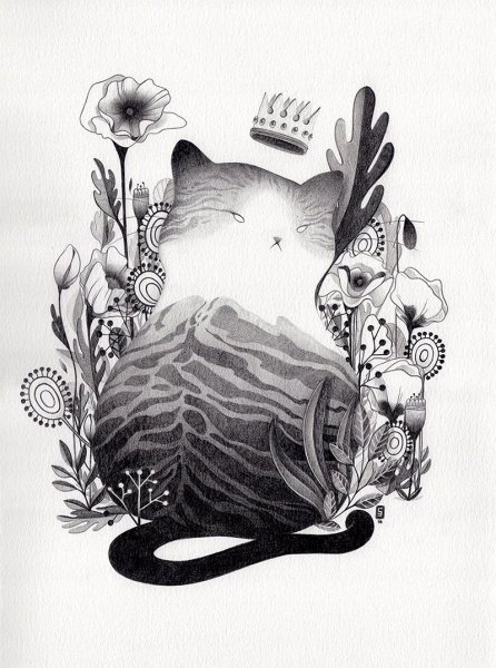 Графические иллюстрации