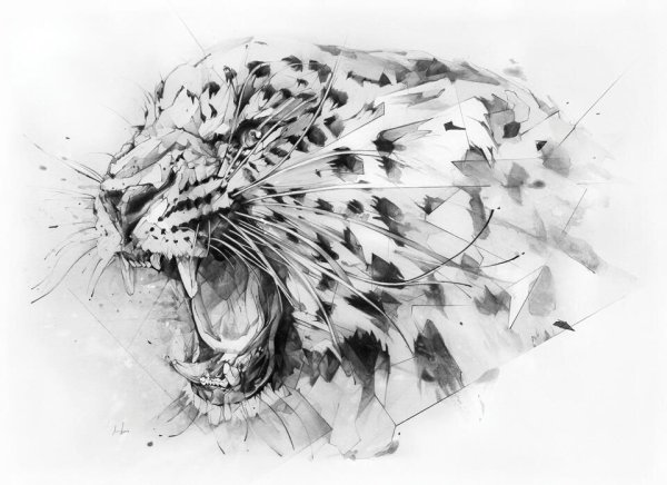 Леопард Графика эскиз