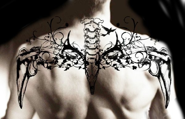 Мультяшные девушки со спины