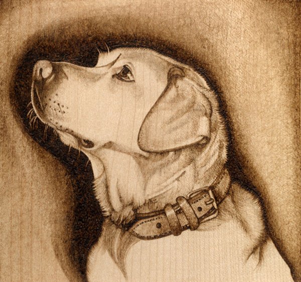 Фанера для рисования