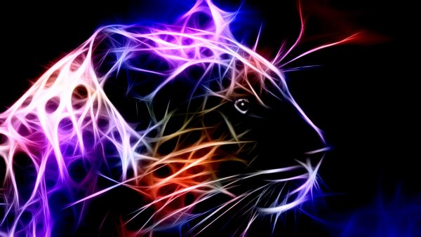 Обои Неоновые животные