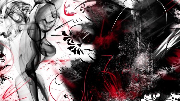 Чёрно белый кот арт