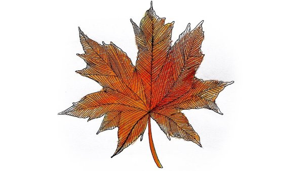 Кленовый лист цветными карандашами