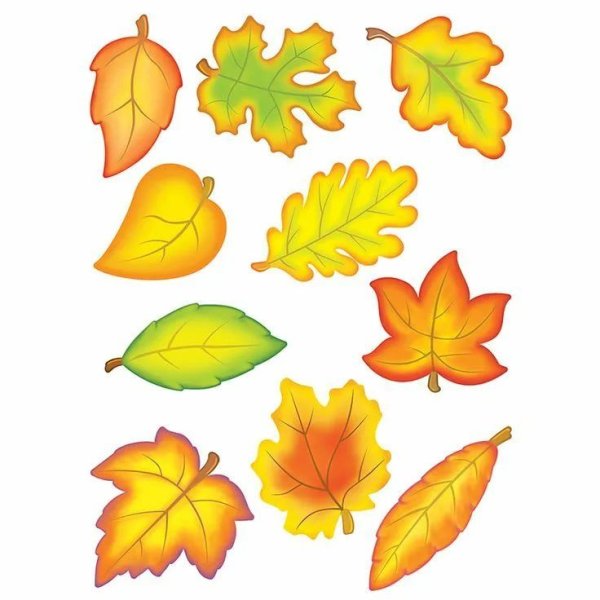 Осенние листья