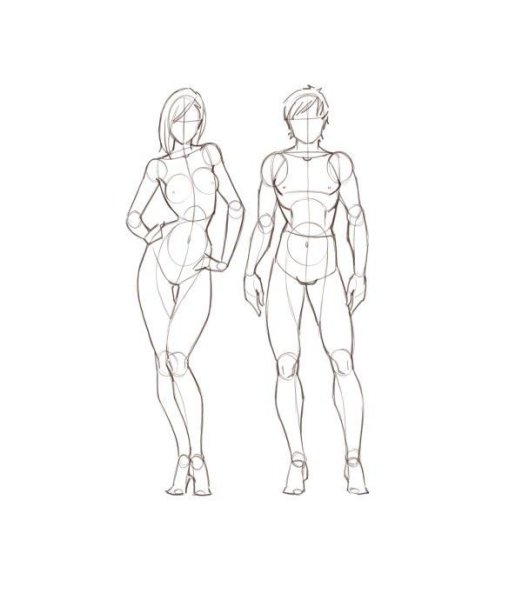 Построение тела для рисования