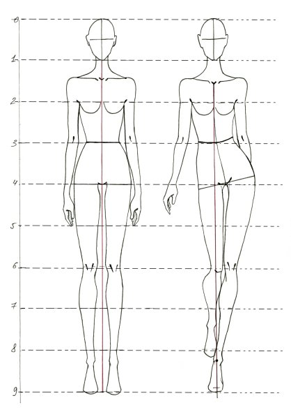 Анатомия референс в полный рост