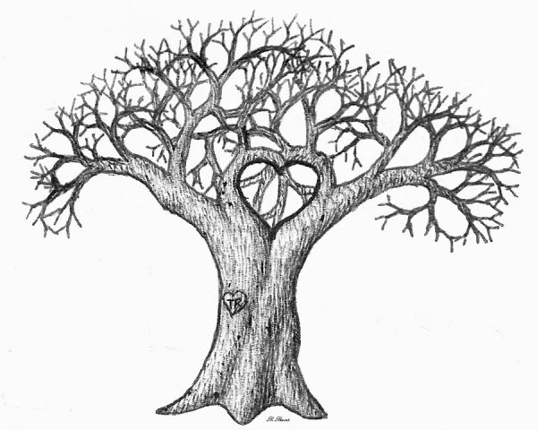 Ствол дерева для родословной