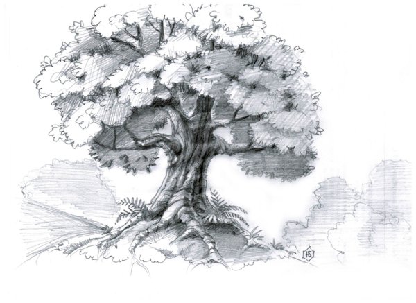 Дерево карандашом