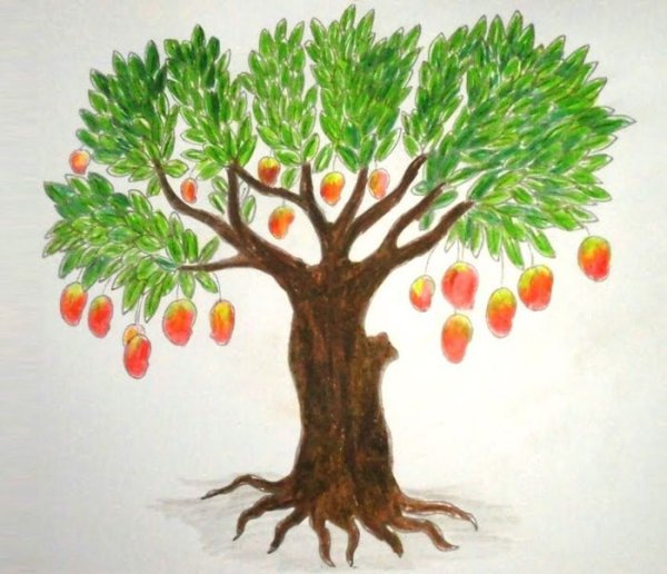Дерево цветными карандашами