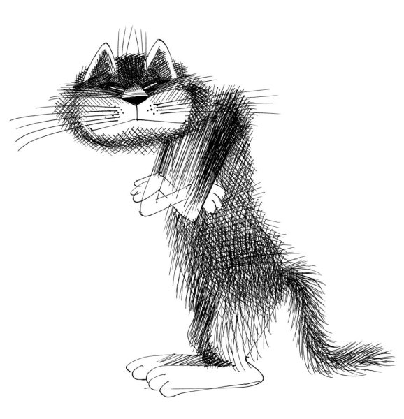 Рисунки котов карандашом прикольные