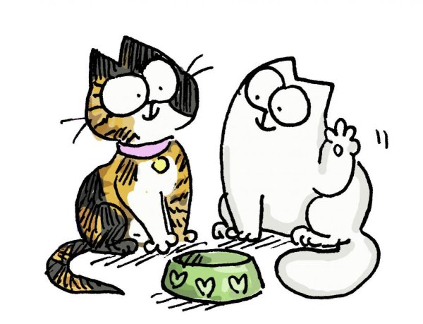 Котики смешные рисунки